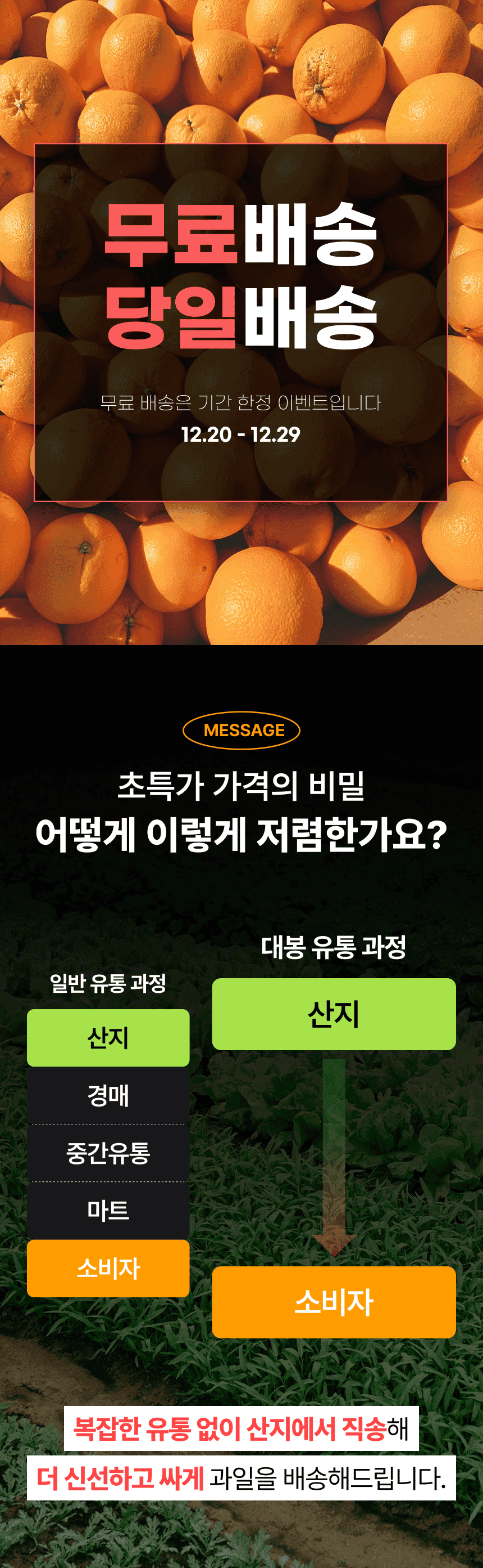 AI-generated product detail page design example 12